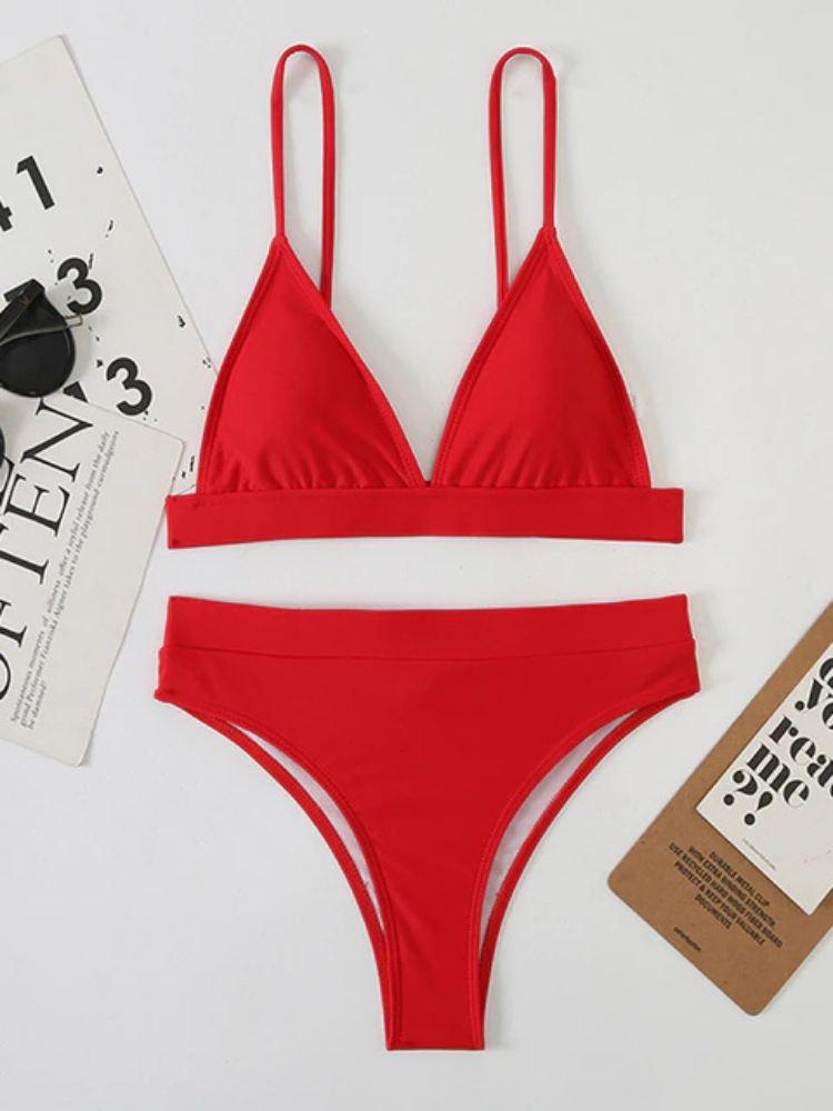 The Beautiful Deep-V Two Pieces Bikini