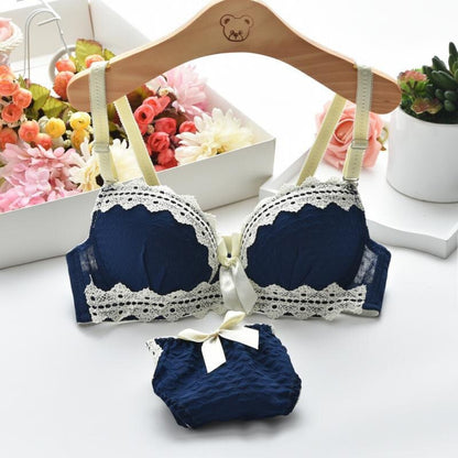 Lace Push Up Bra And Underwear Set